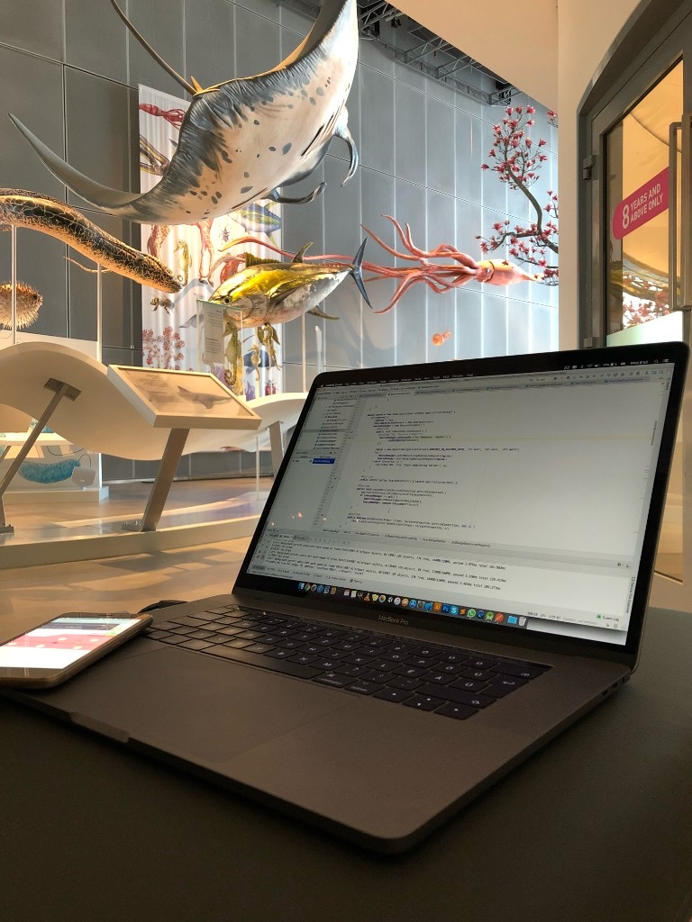 On-site development: laptop, phone and the exhibition